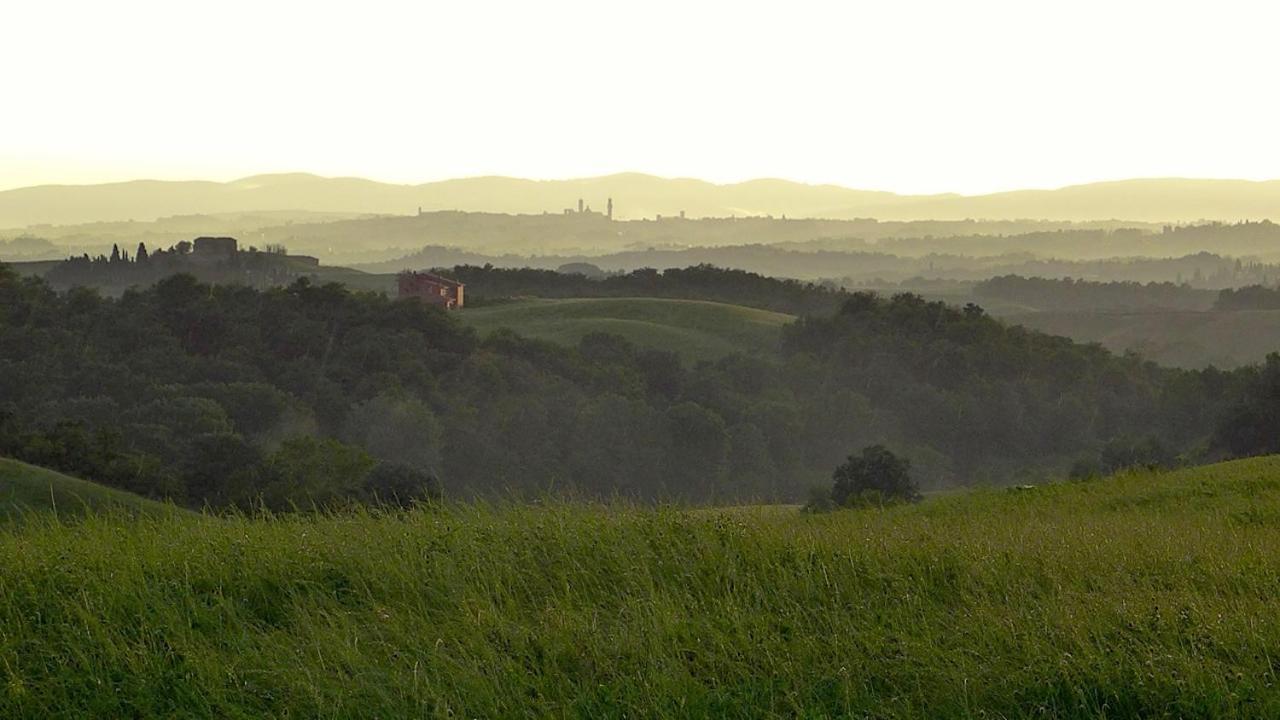 Apartamento Agriturismo San Fabio Castelnuovo Berardenga Exterior foto